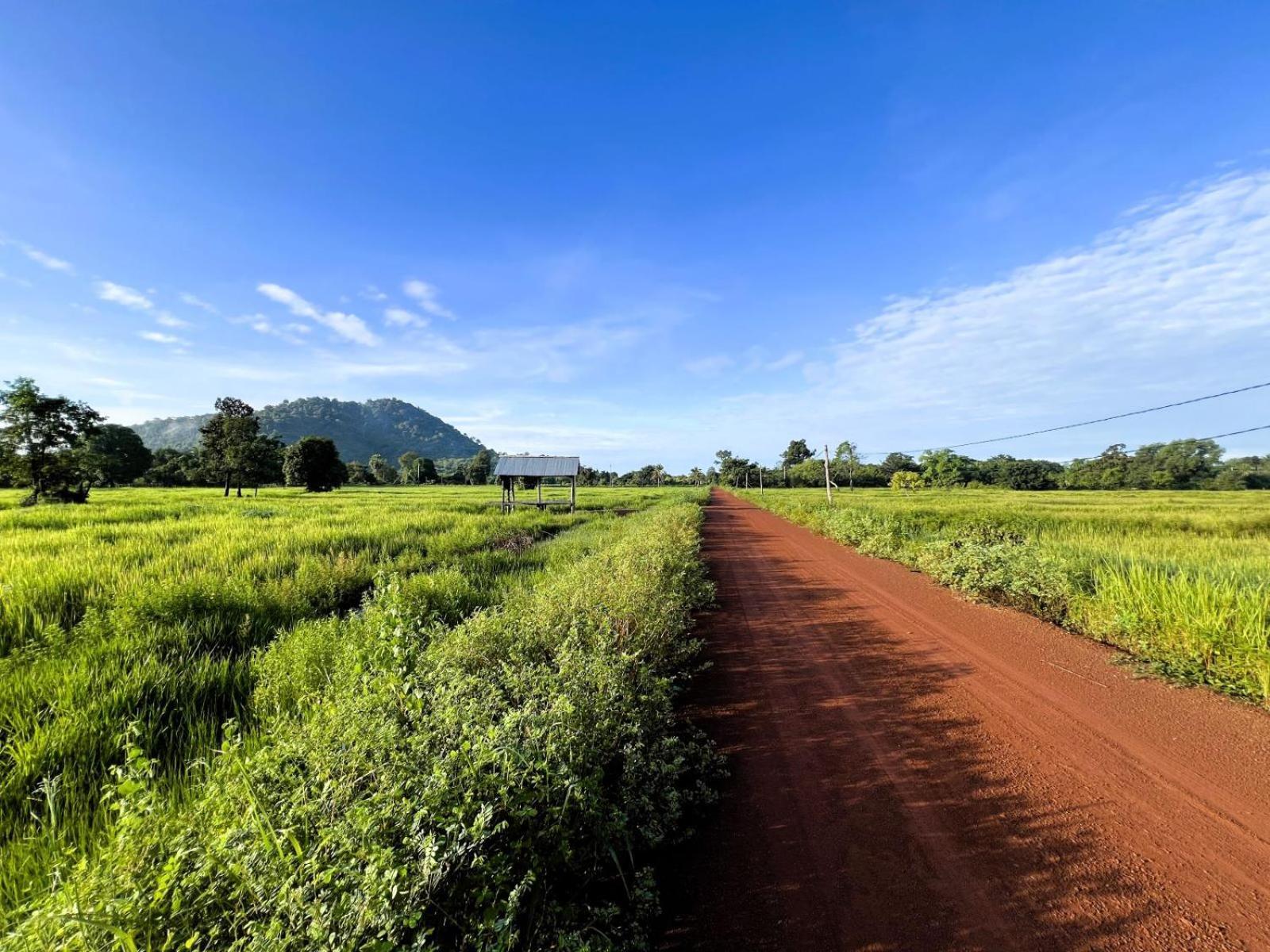 The Little Vegan Homestay Phumi Banteay Srei Exterior foto